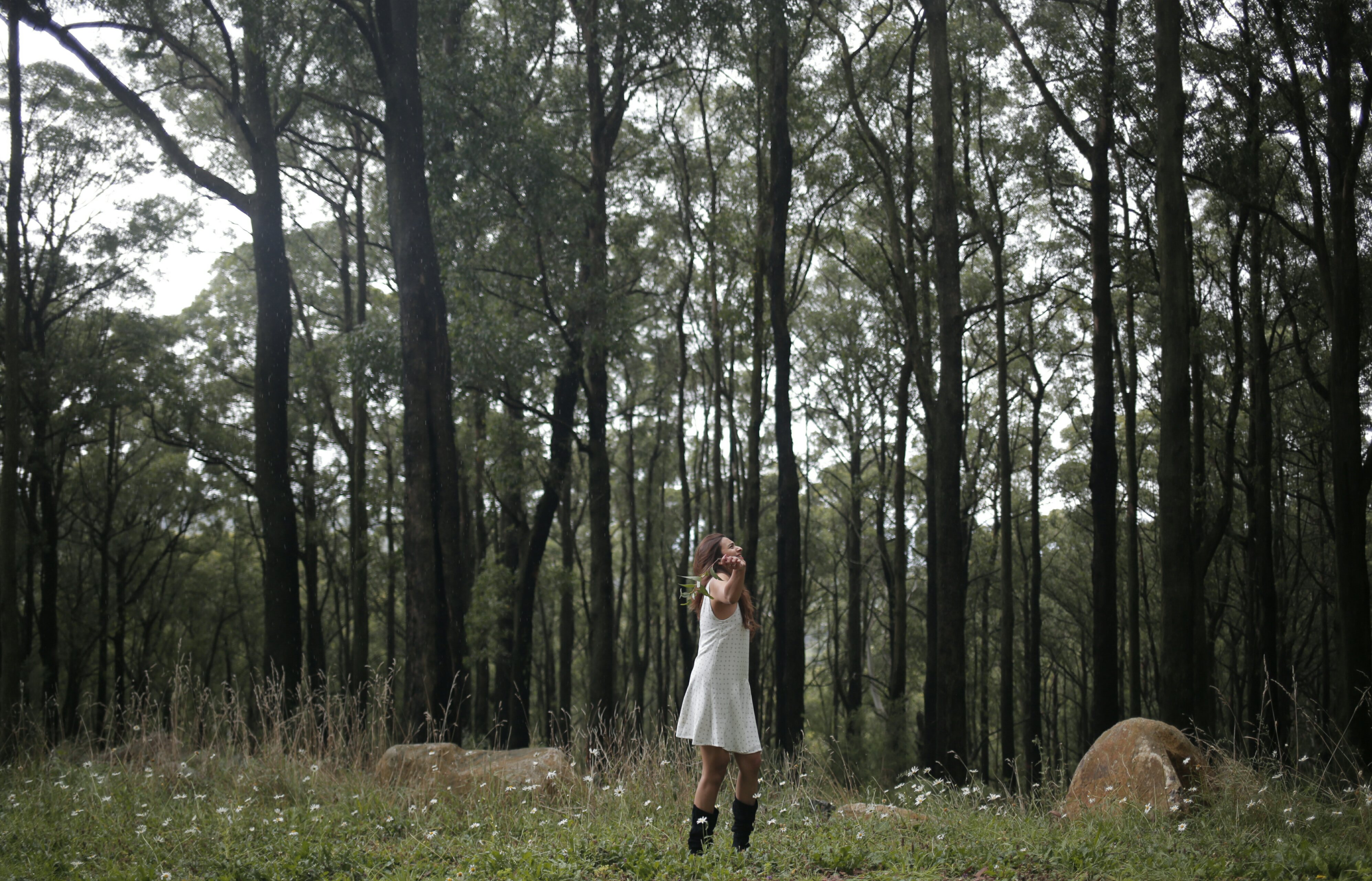 2016_04_07_17_33_00_1